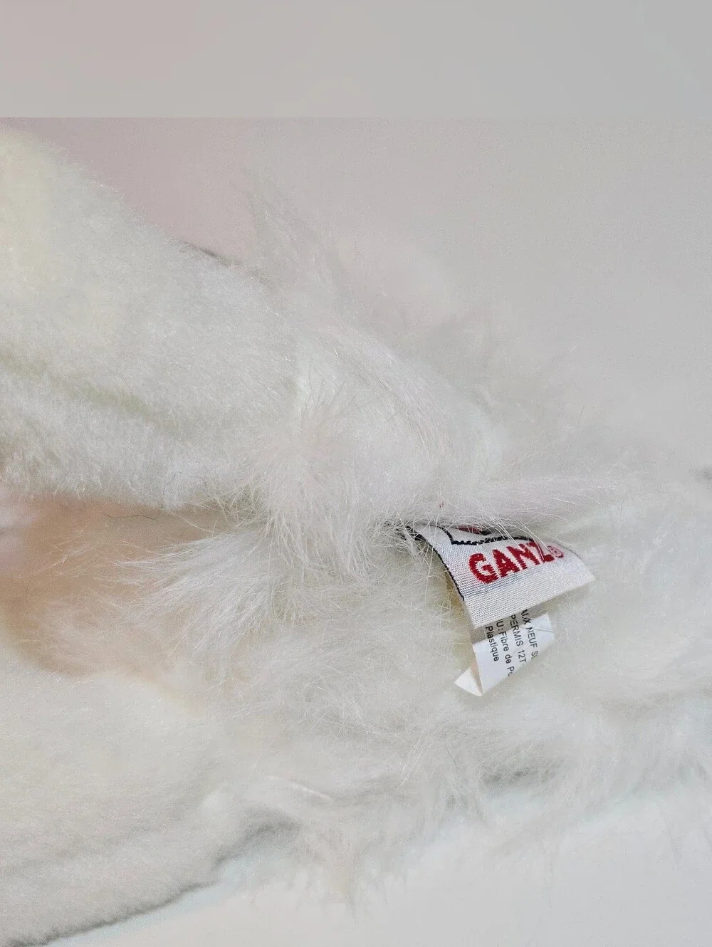 GANZ bring home